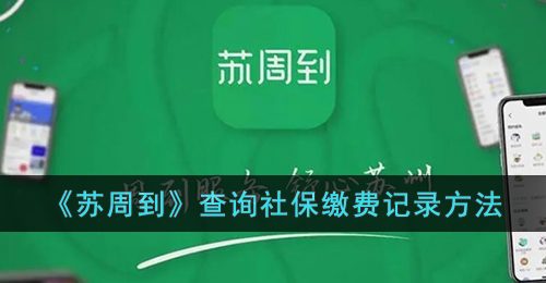 苏周到怎么查询社保缴费记录-查询社保缴费信息方法