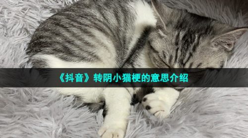 抖音转阴小猫是什么梗-转阴小猫梗的意思介绍