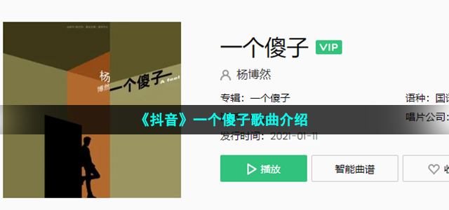 《抖音》一个傻子歌曲介绍