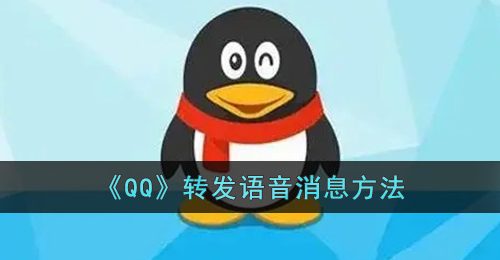 qq怎么转发语音给别人听-qq转发语音消息方法