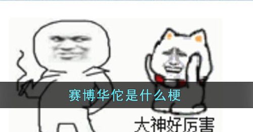 赛博华佗是什么梗-赛博华佗梗含义介绍