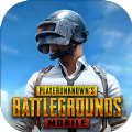 pubg地铁逃生下载最新正版下载,pubg地铁逃生下载最新正版国际服 v2.5.0