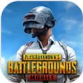 PUBG MOBILE(国际服)中文版下载,PUBG MOBILE(国际服)中文版免费下载 v2.4.1