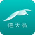 海信信天翁